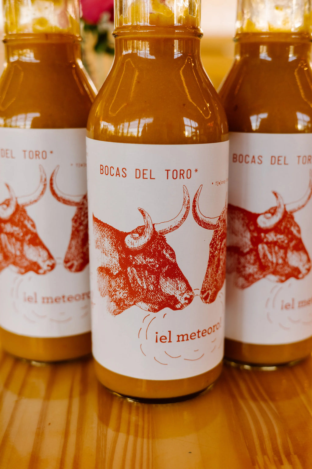 ¡El Meteoro! Bocas del Toro Monthly Subscription - Save 10%