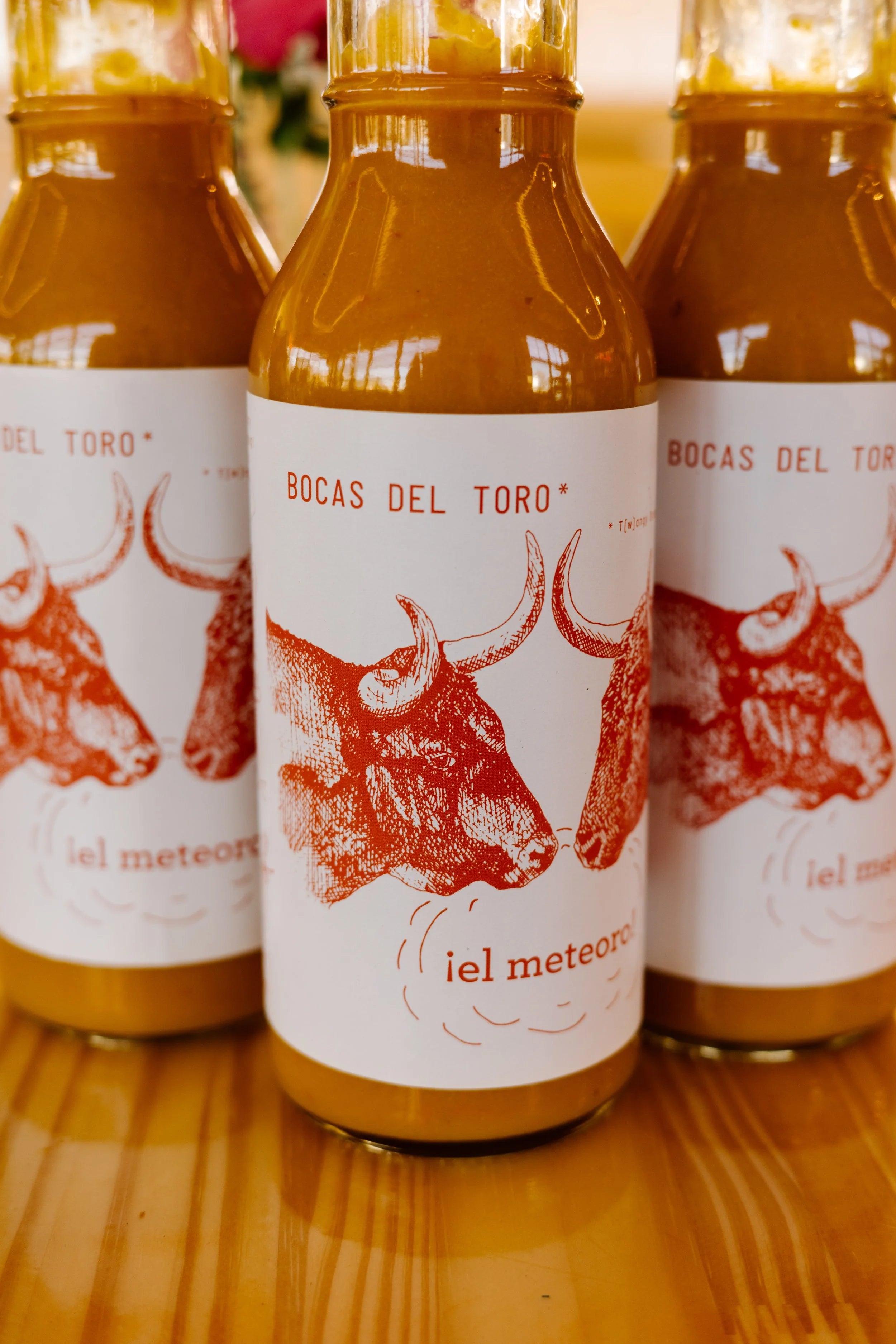 ¡El Meteoro! Bocas del Toro Monthly Subscription - Save 10%